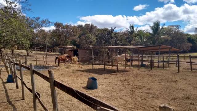 Samuel Pereira oferece: Haras completo, estrutura pronta para sua criação, água, irrigação no pasto